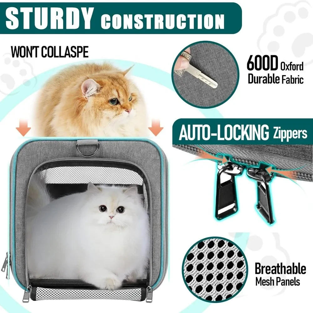 Pet Carrier for Large Cats 20 lbs / Soft Sided Small Dog Travel Carrier